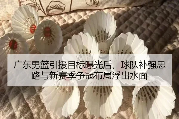 广东男篮引援目标曝光后，球队补强思路与新赛季争冠布局浮出水面